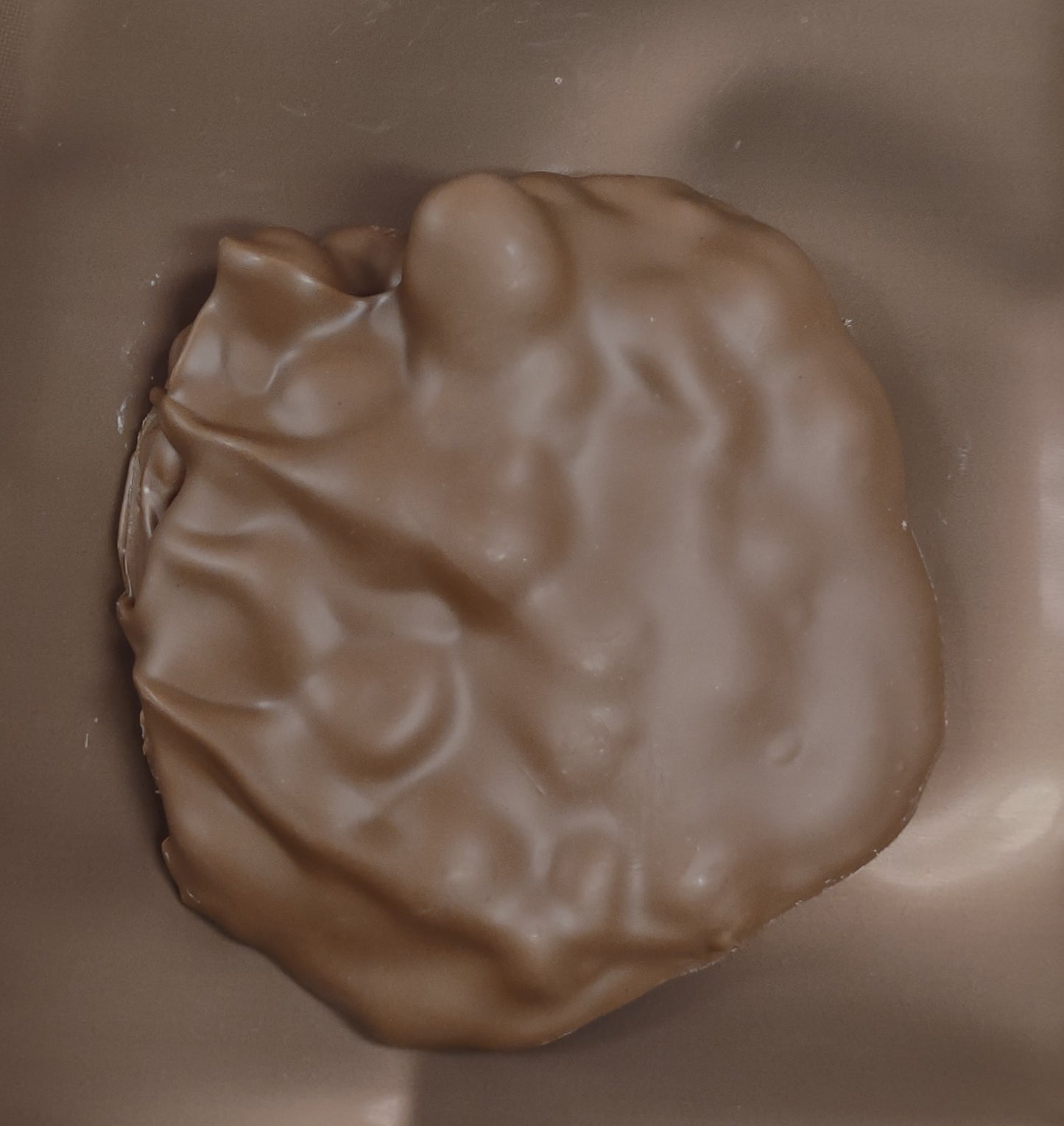 Cow Patty